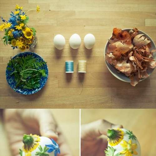 달걀+양파껍질+꽃.jpg