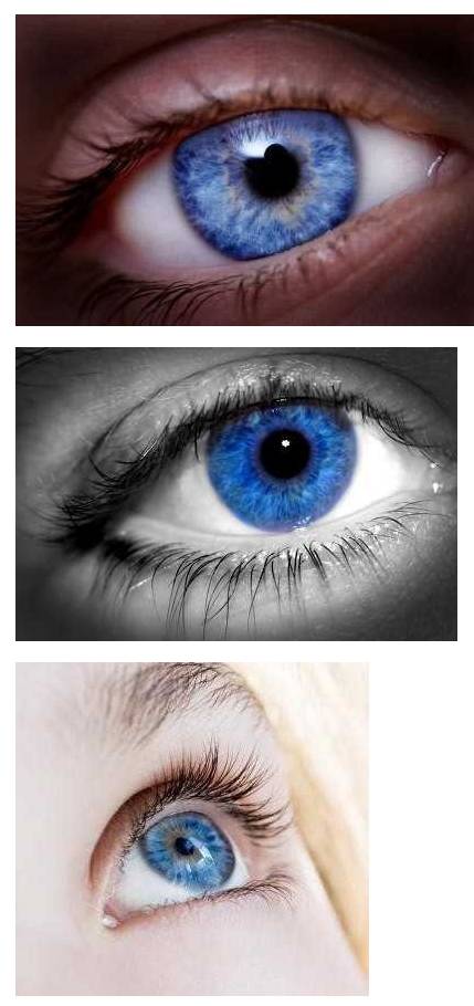 눈 색깔.jpg
