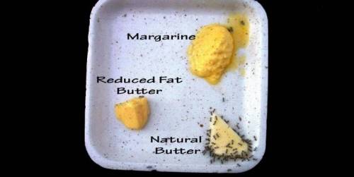 버터 VS 마가린.jpg