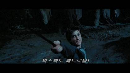 해리포터