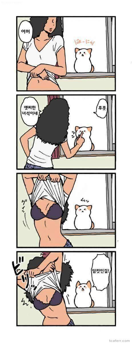 고양이가 말을 하는 만화.jpg