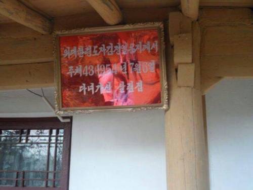 북한에 간 주갤럼.jpg