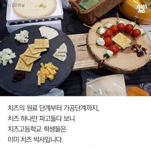 한국 치즈고.jpg