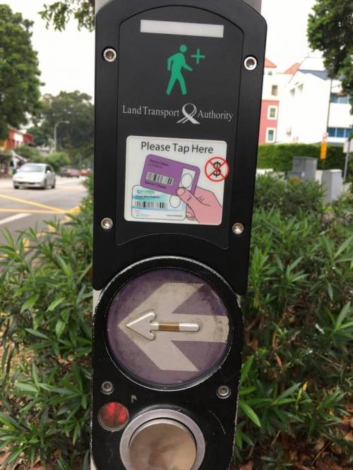 싱가폴의 신호등.jpg