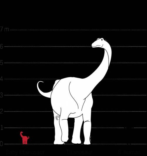 티타노사우루스의 대퇴골과 인간의 크기 비교