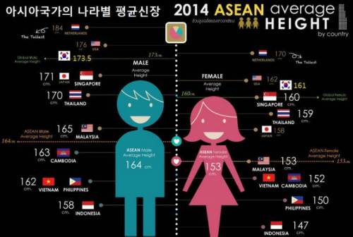 아시아 국가별 평균 신장.jpg