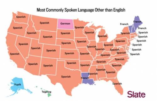 미국에서 영어를 제외하고 가장 많이 쓰이는 언어