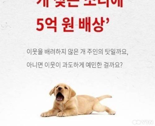 개가 짖게 놔둔 죄 벌금 5억원?.jpg