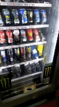 자판기 통수.gif