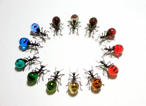 유리공예로 만든 곤충.jpg