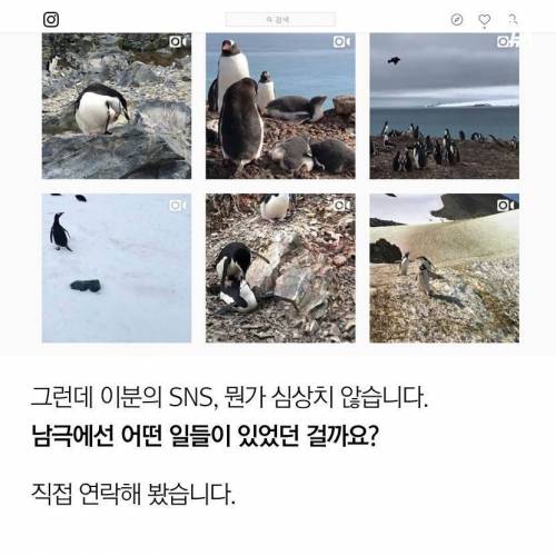 한국에 도착한 남극 세종과학기지 연구원.jpg