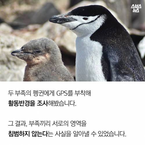 한국에 도착한 남극 세종과학기지 연구원.jpg