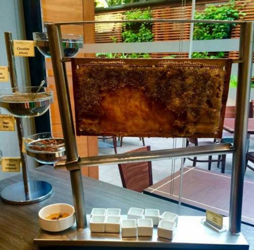 매일 아침부페에 신선한 꿀을 제공해주는 호텔.jpg