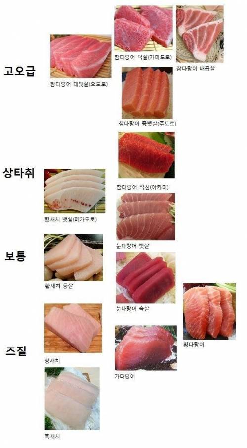 참치 부위 서열 .jpg