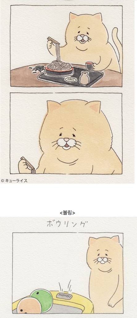유감스러운 고양이 만화.jpg