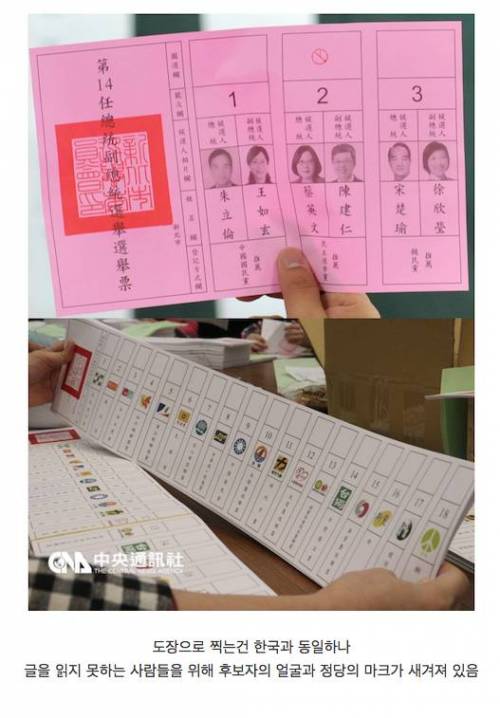 대만의 투표용지.jpg