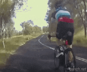 호주 자전거 라이딩의 위험성.gif