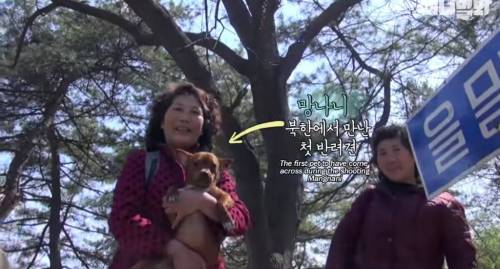 북한에서 만난 강아지.jpg