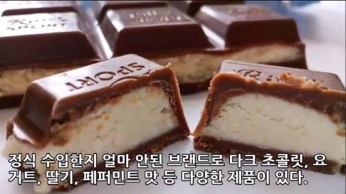 세계적으로 유명한 초콜릿 TOP 10