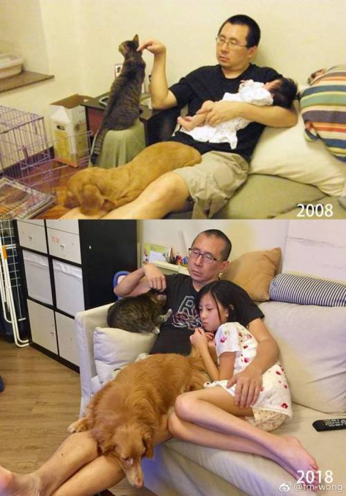 아빠와 딸과 강아지와 고양이.jpg
