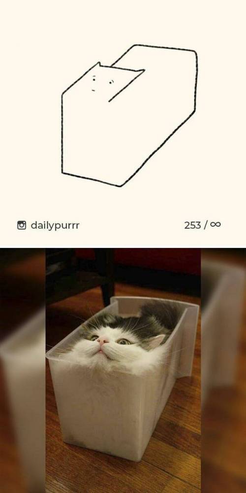 매우 사실적인 고양이 그림.jpg