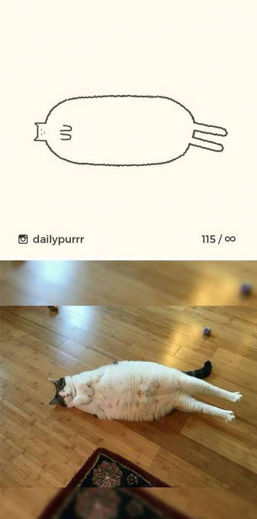 매우 사실적인 고양이 그림.jpg