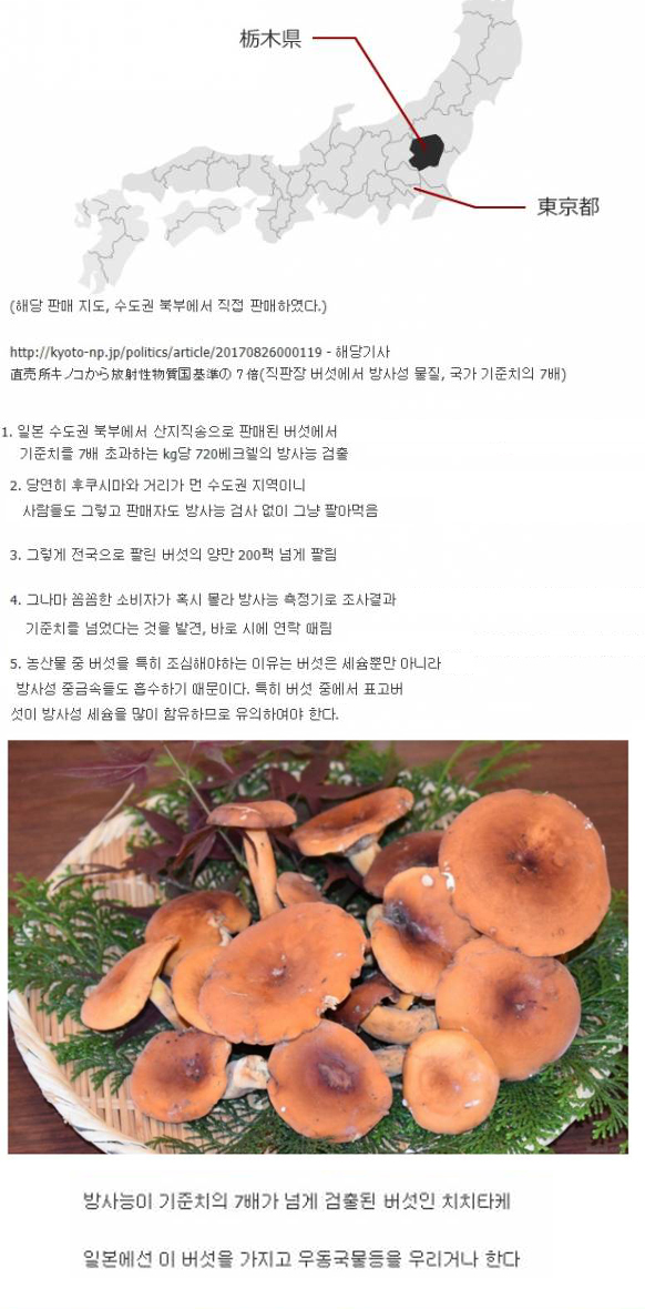일본에서 버섯을 조심해야 되는 이유.jpg