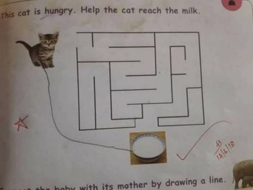 배고픈 고양이를 도와주세요.jpg
