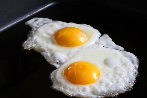 달걀 vs 달걀 vs 달걀