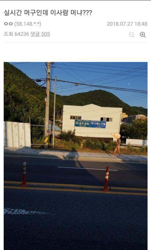 한국의 불속성 터미네이터.jpg