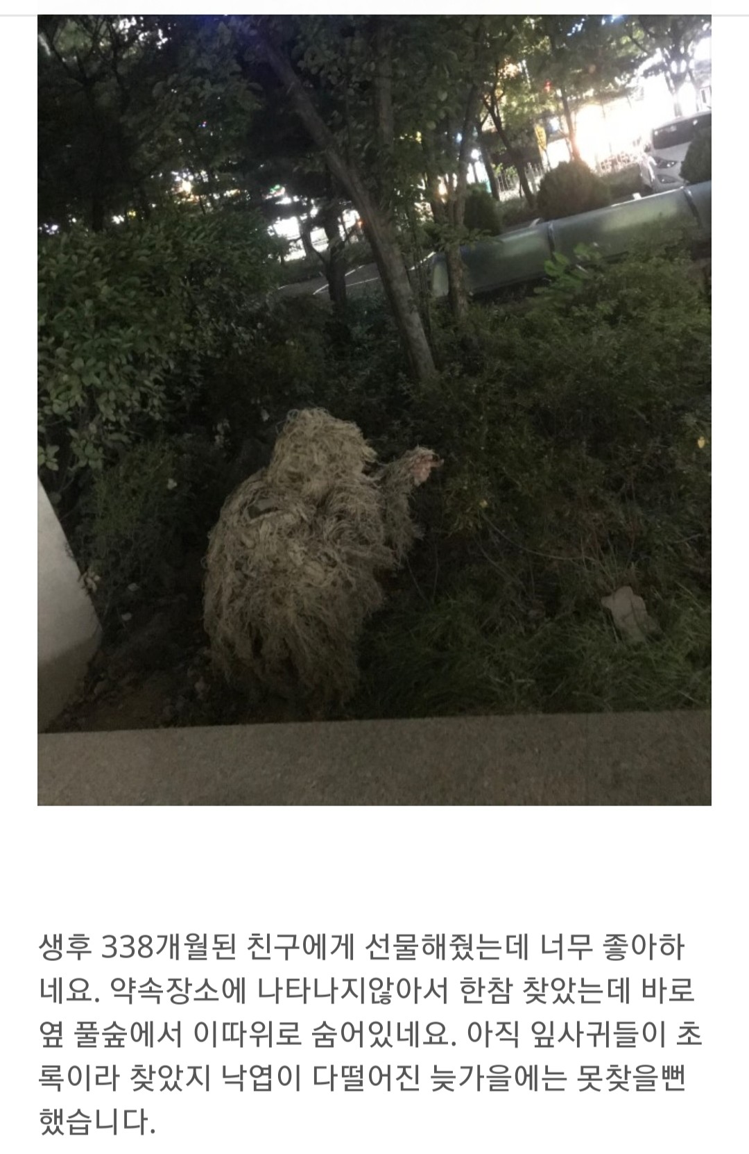 특수부대원의 네이버페이 쇼핑몰 후기.jpg