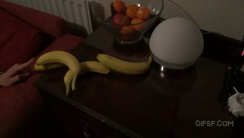 바나나로 전구 켜기.gif