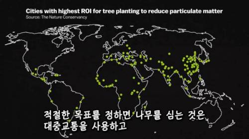 [스압] 도시에 나무를 더 많이 심어야 하는 이유