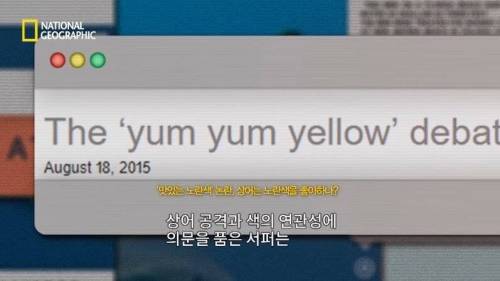 [스압] 맛있는 노란색 가설.jpg