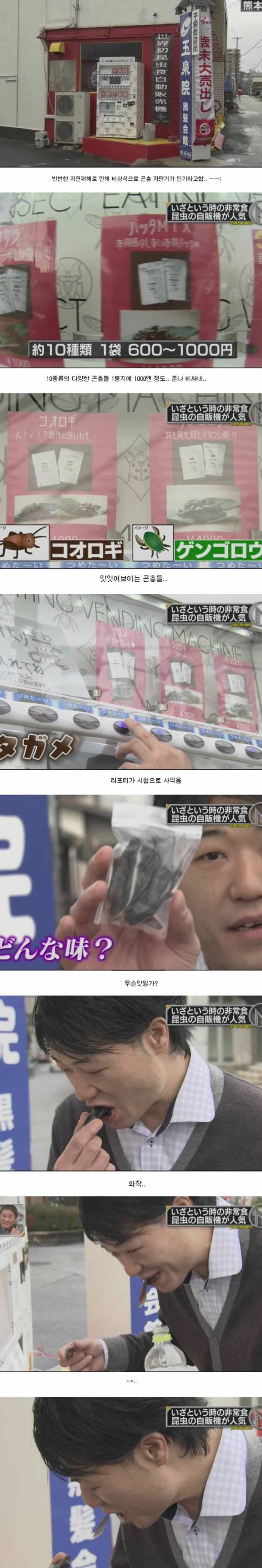 일본의 곤충식 자판기.jpg