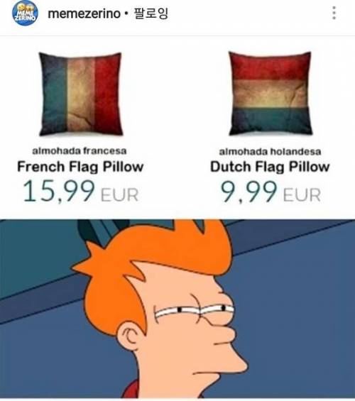 네덜란드와 프랑스 차이.jpg