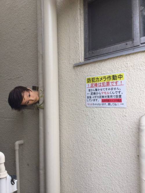 일본의 흔한 CCTV.jpg