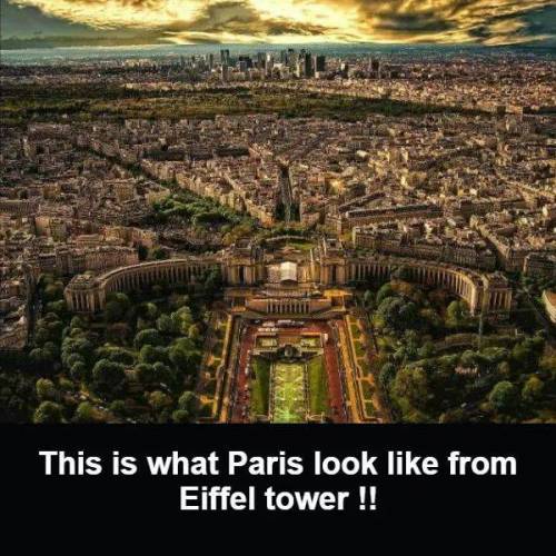 에펠탑에서 바라본 파리.jpg