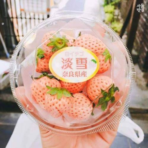 딸기 색의 편견을 깬 만년설핑크딸기.jpg