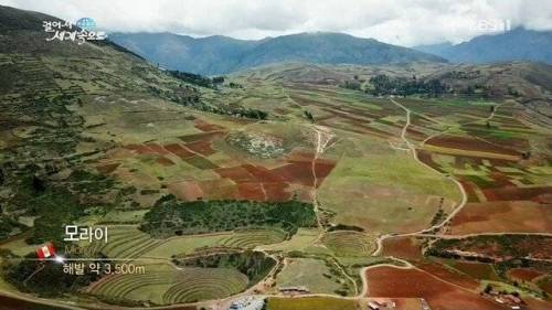 잉카 제국의 농업 기술.jpg