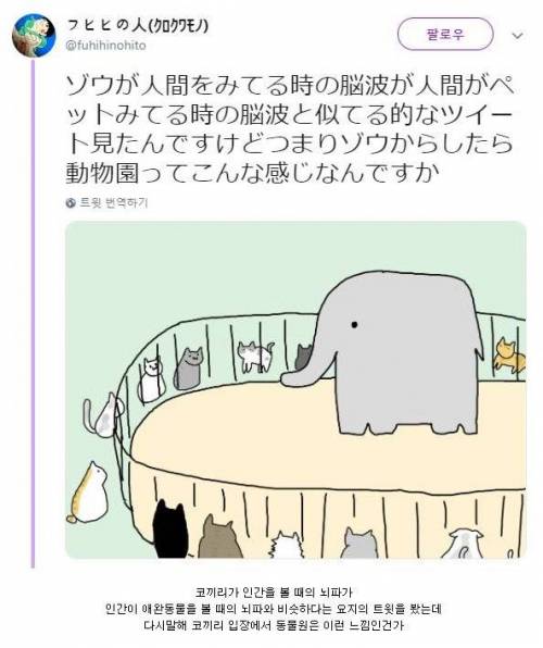 코끼리 시점의 동물원.jpg