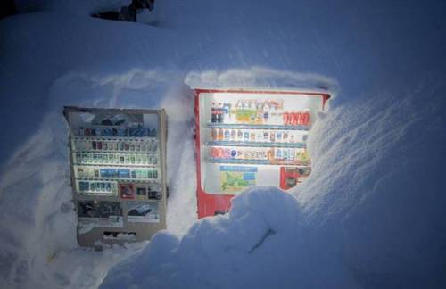 [스압] 홋카이도 자판기.jpg