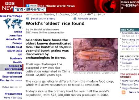 BBC '최초의 쌀은 중국아닌 한국'.jpg