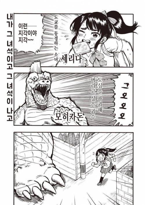 [스압] 소녀랑 굇수랑 몸 바뀌는 만화.jpg