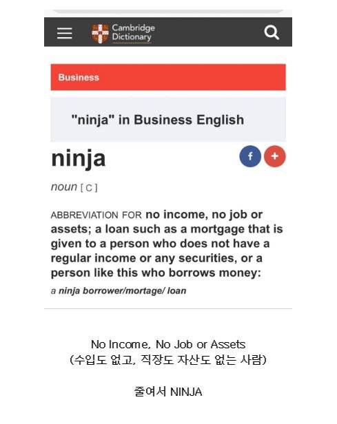 NINJA의 새로운 정의(by 캠브릿지 사전).jpg