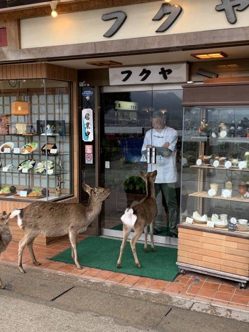 일본인 아니라고 손님한테 가게 문도 안열어주는 일본가게.jpg