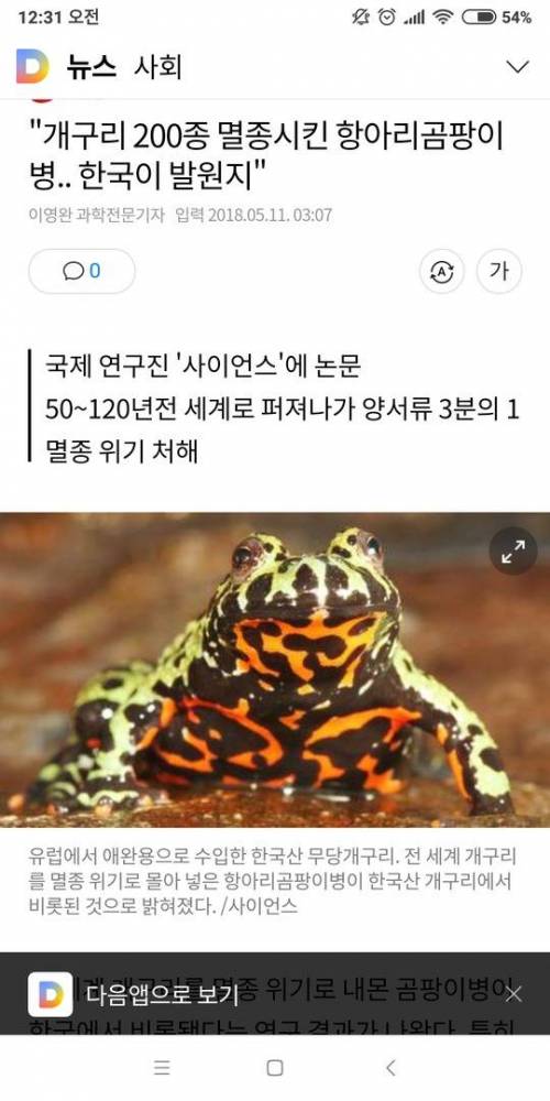 한국 개구리 클라스.jpg