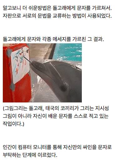 돌고래가 인간에게 전한 메세지.jpg
