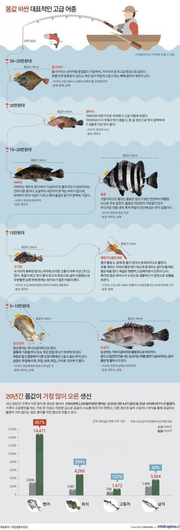 몸값 비싼 대표적인 고급 생선.jpg