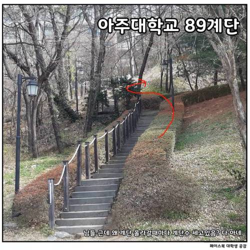 [스압] 대학교별 언덕 및 계단 자랑.jpg